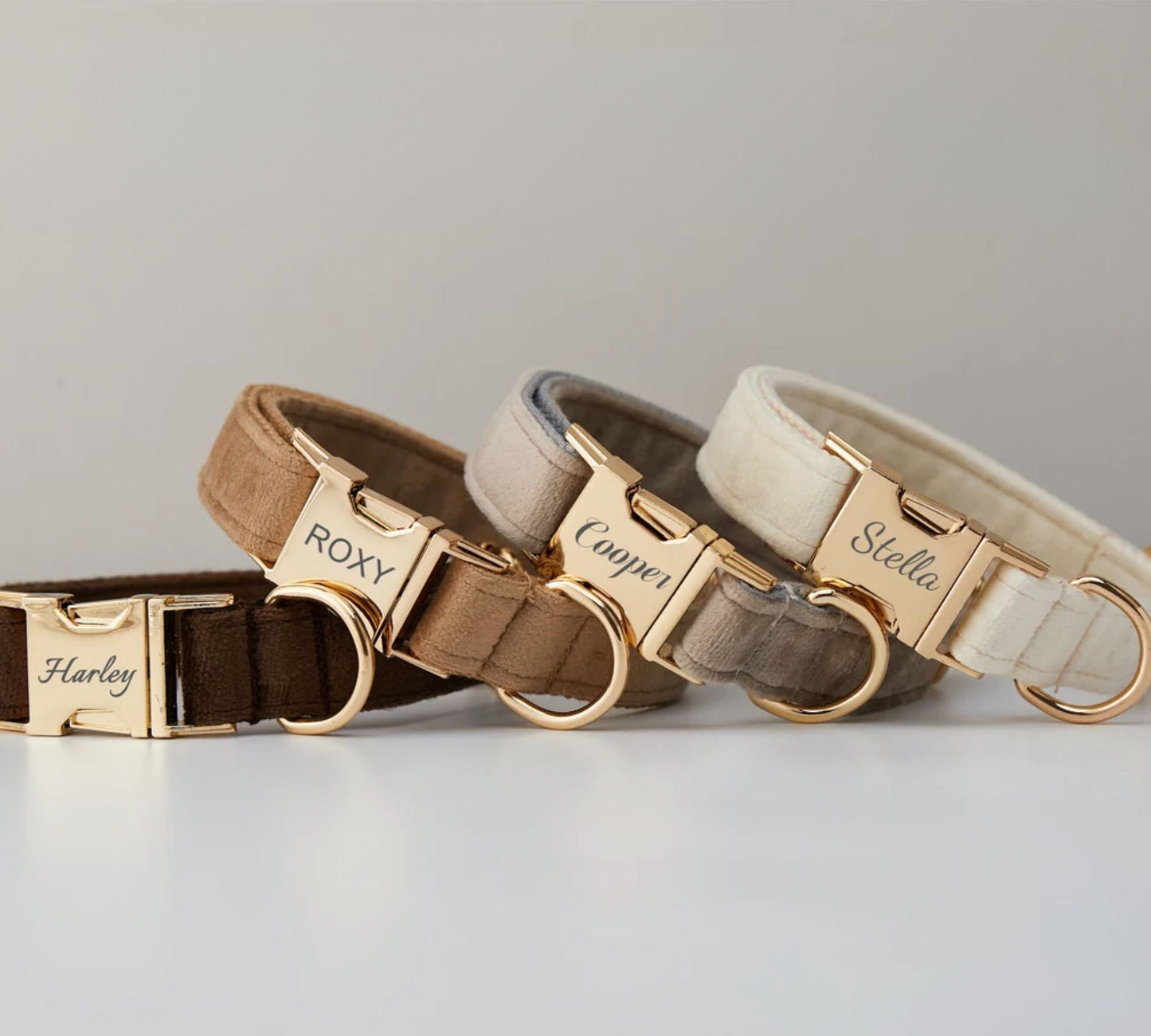 Personalisiertes Hundehalsband mit Leine und Haustiernamen - Hochzeitsgeschenk für Welpen