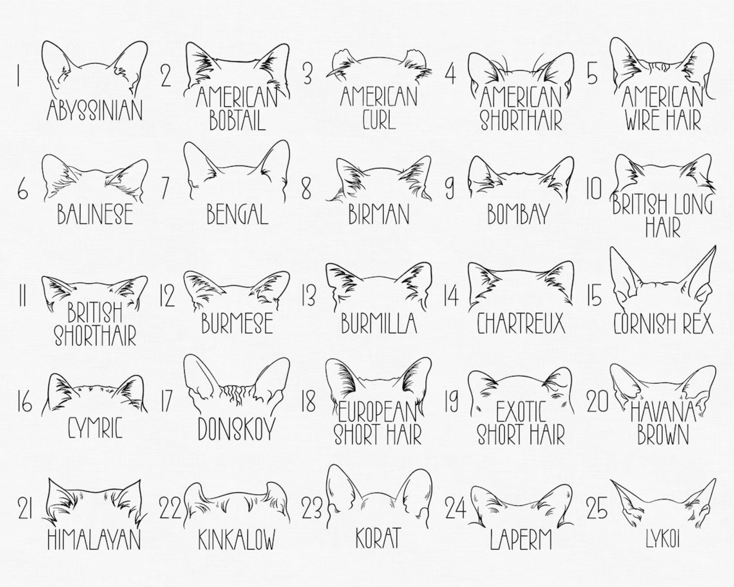 Personalisiertes Katzen-Sweatshirt, Sweatshirt mit Katzenohren und Namen