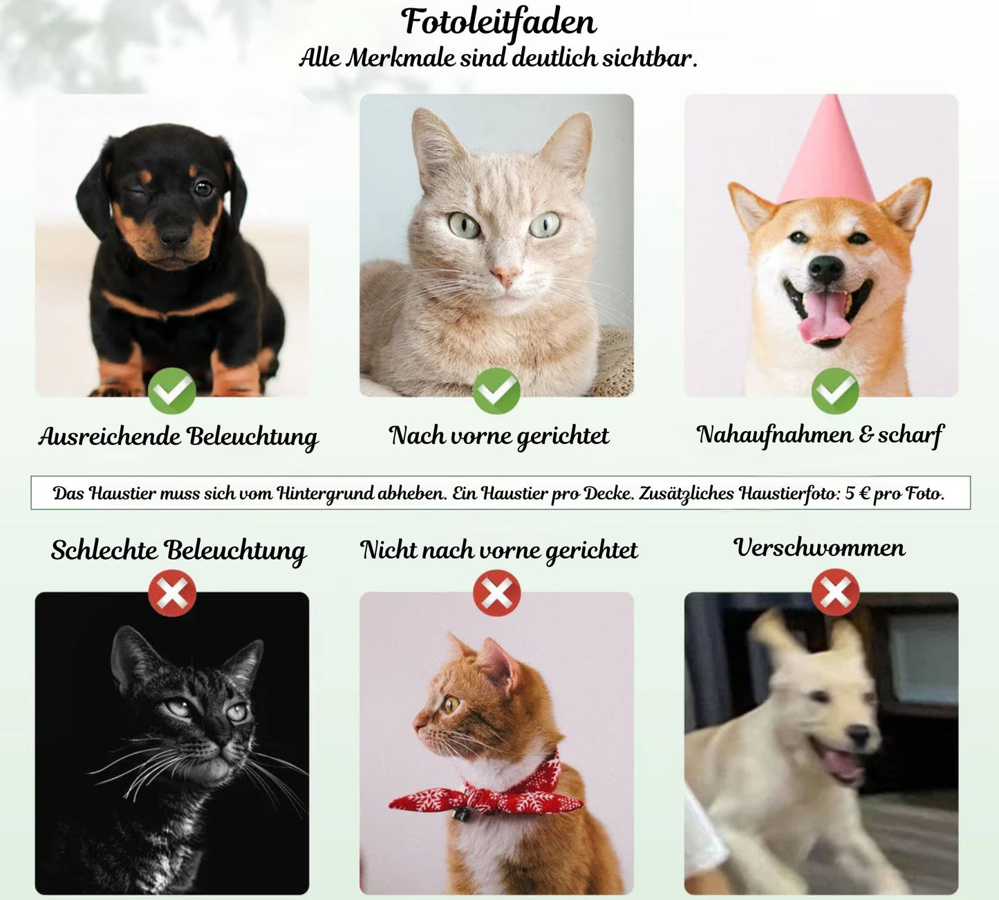 Personalisierte Hundedecke mit Namen - Geschenk für Hundeliebhaber, Individuelle Fotodecke für Hunde